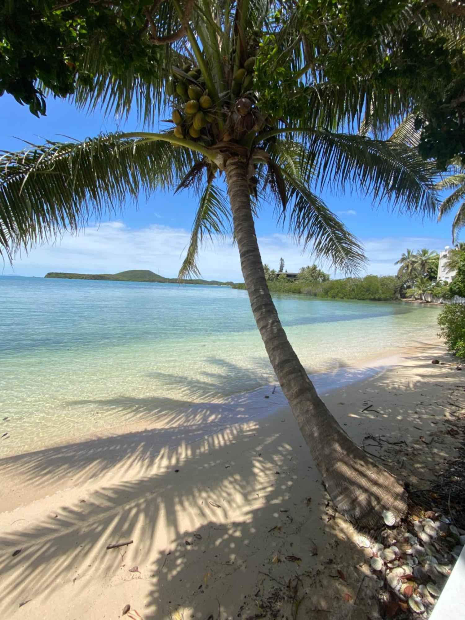 Michelle'S Flat By The Sea Apartment นูเมีย ภายนอก รูปภาพ